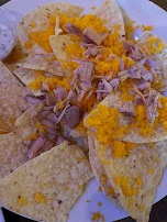 Jackfruit Carnitas Nachos